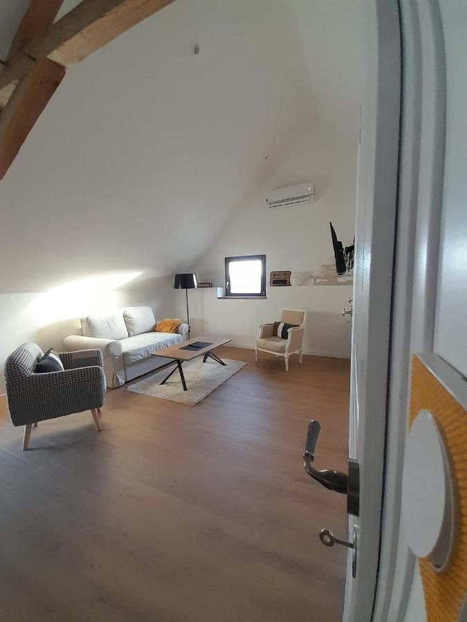 Le Repaire De Bacchus Apartment Saint-Nicolas-de-Bourgueil ภายนอก รูปภาพ